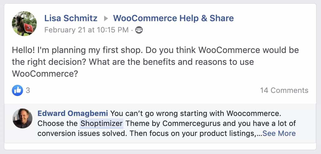 Shoptimizer word of mouth example