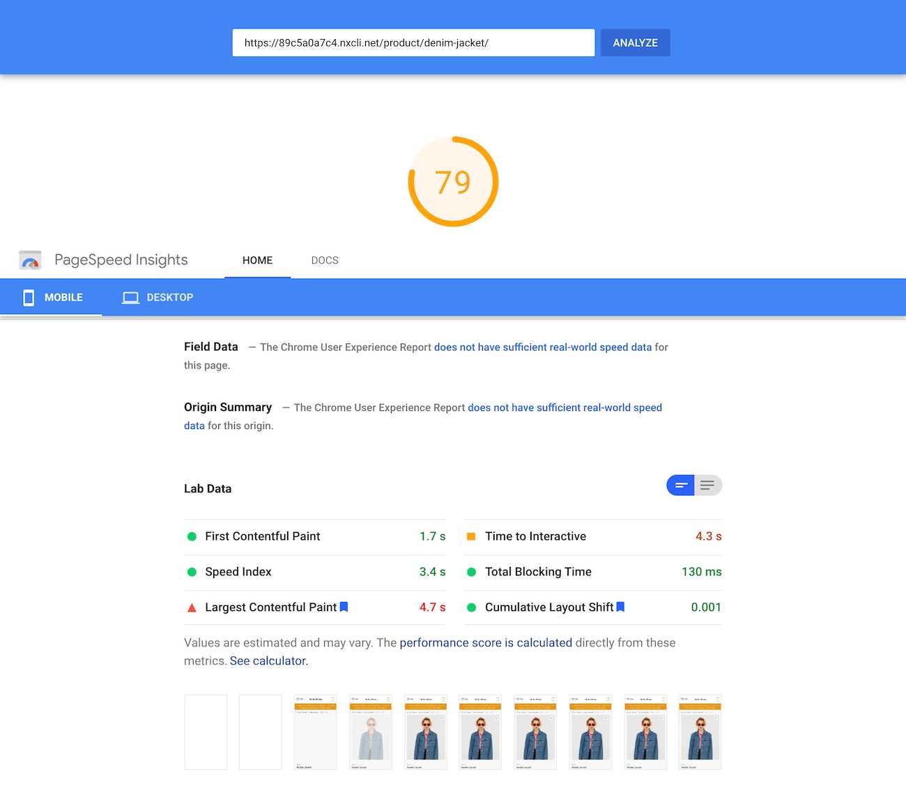 Google PageSpeed Insights test of the single product page