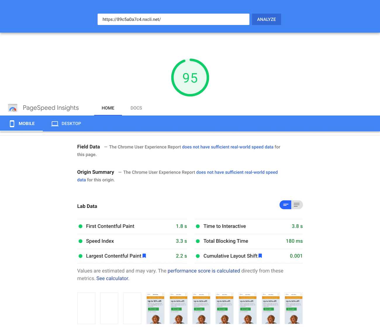 Google PageSpeed Insights test of the homepage