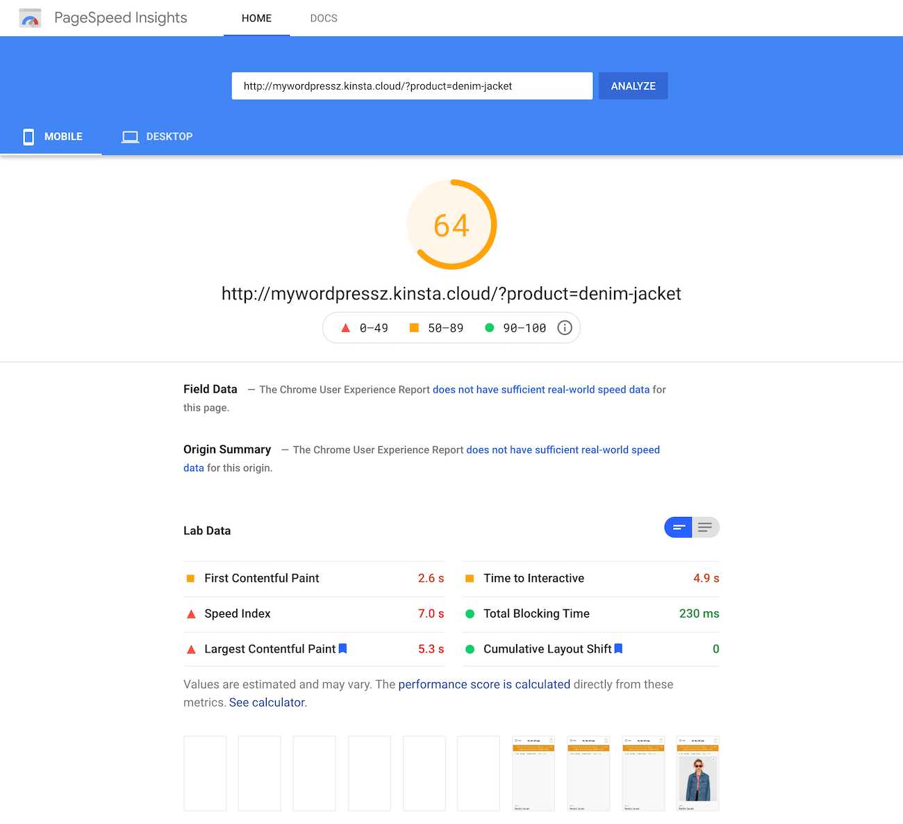 Google PageSpeed Insights test of the single product page