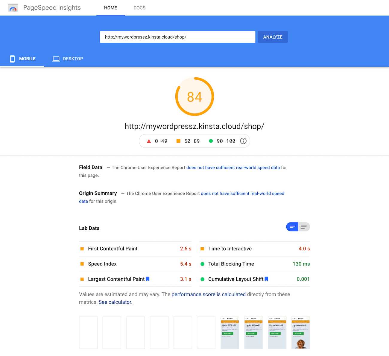 Google PageSpeed Insights test of the shop page