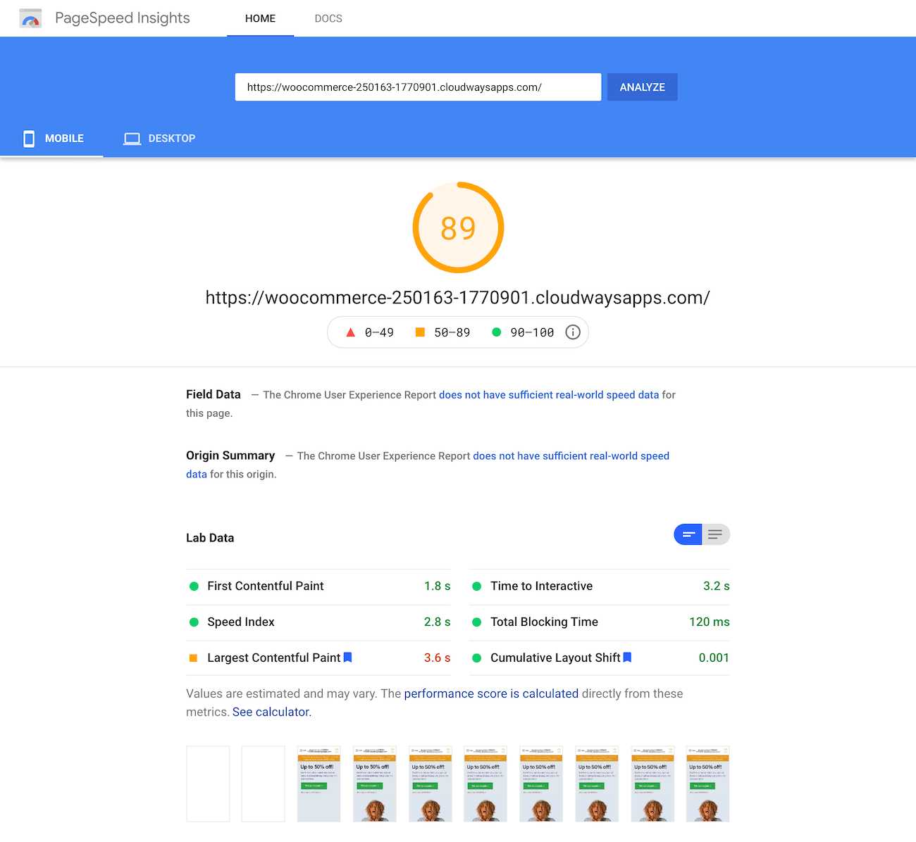 Google PageSpeed Insights test of the homepage