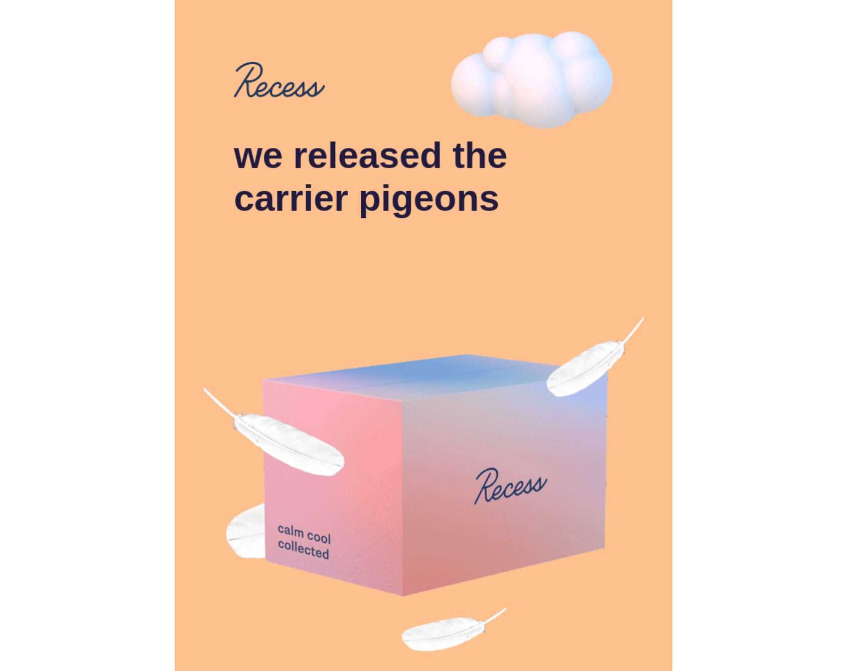Shipment Update Post Purchase Email