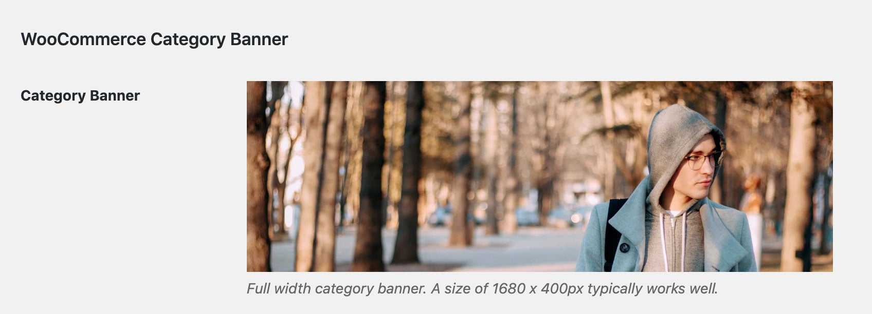 Shoptimizer full width category banner