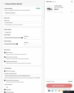 Cart drawer checkout button settings.