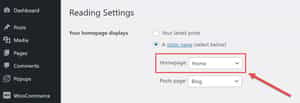 WordPress Reading Settings