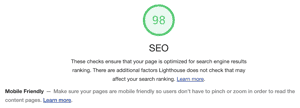 Google Lighthouse's SEO test