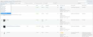 SEO options