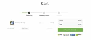 Gift card checkout process