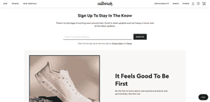 Allbirds newsletter
