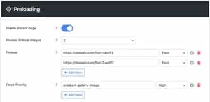 Use the PerfMatters Plugin to Improve LCP