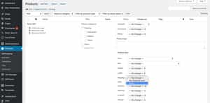 Bulk adding the new WooCommerce shipping class