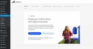 Connect to your BigCommerce account