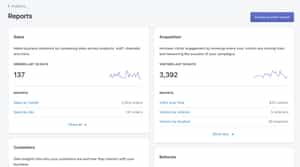 Example Shopify Report