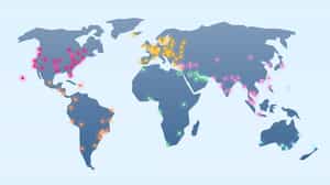 Best WooCommerce CDN Options