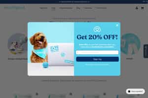 Site Wide Promo Code Ideas and Strategies 