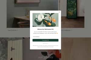 Popup Copywriting Example