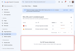 INP Explained Google Search Console