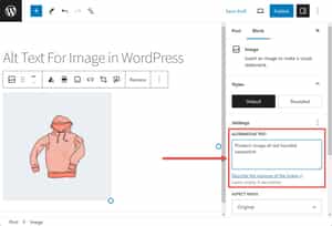 How to Add Alt Text in WordPress