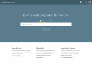 Google's Mobile Friendly Testing Tool