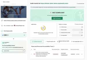 Shopify Store Accessibility Audit Example