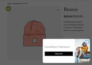 Example of a Slide-In Popup