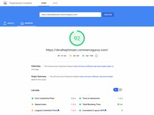 Google PageSpeed Insights