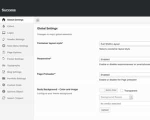 Success theme options