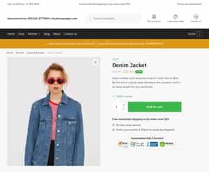 Shoptimizer single product page