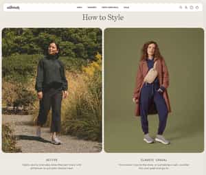 Allbirds eCommerce Store Example