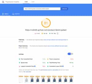 Google PageSpeed Insights test of the single product page