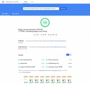 Google PageSpeed Insights test of the shop page