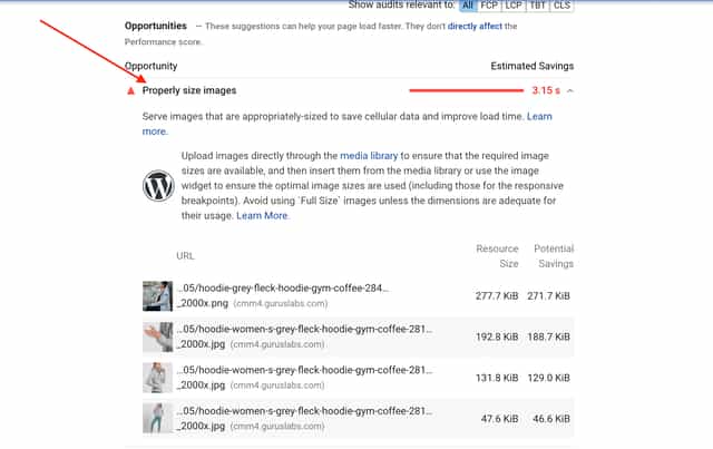 Properly size images - Google PageSpeed Insights Warning