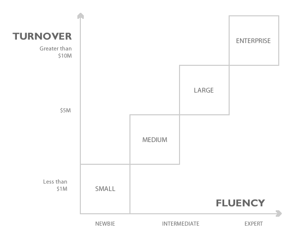 eCommerce Maturity Framework