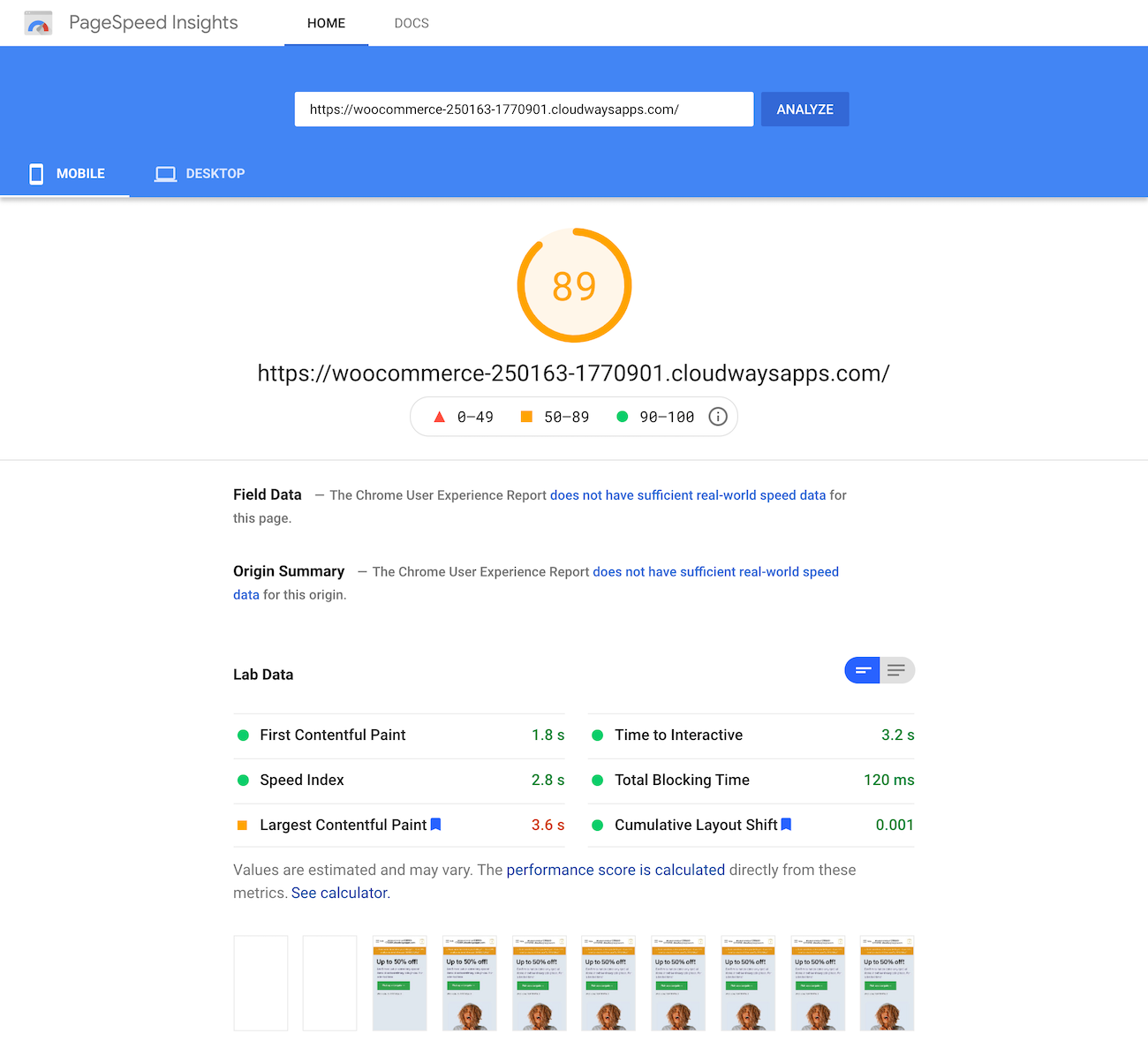 Google PageSpeed Insights test of the homepage