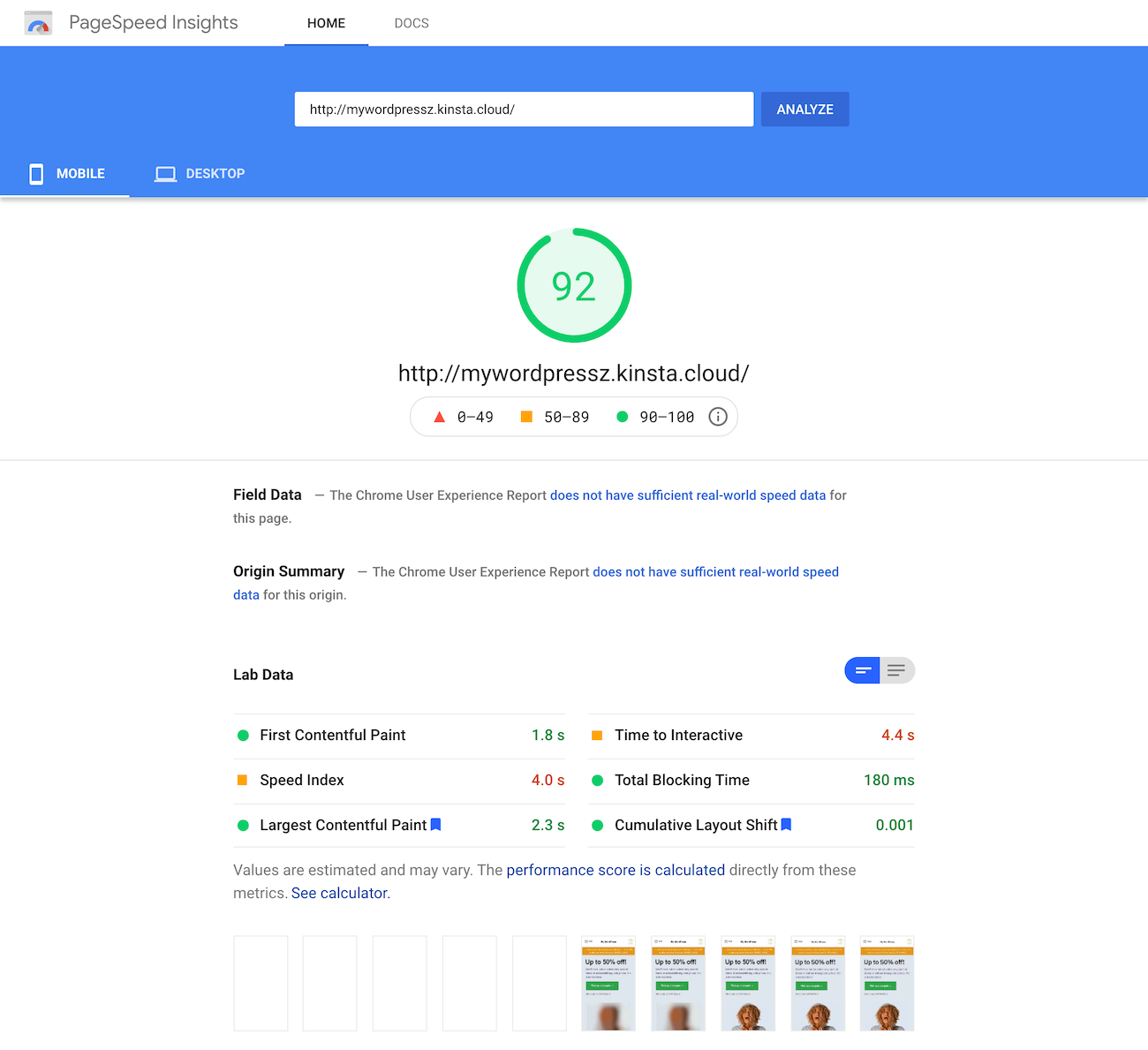 Google PageSpeed Insights test of the homepage