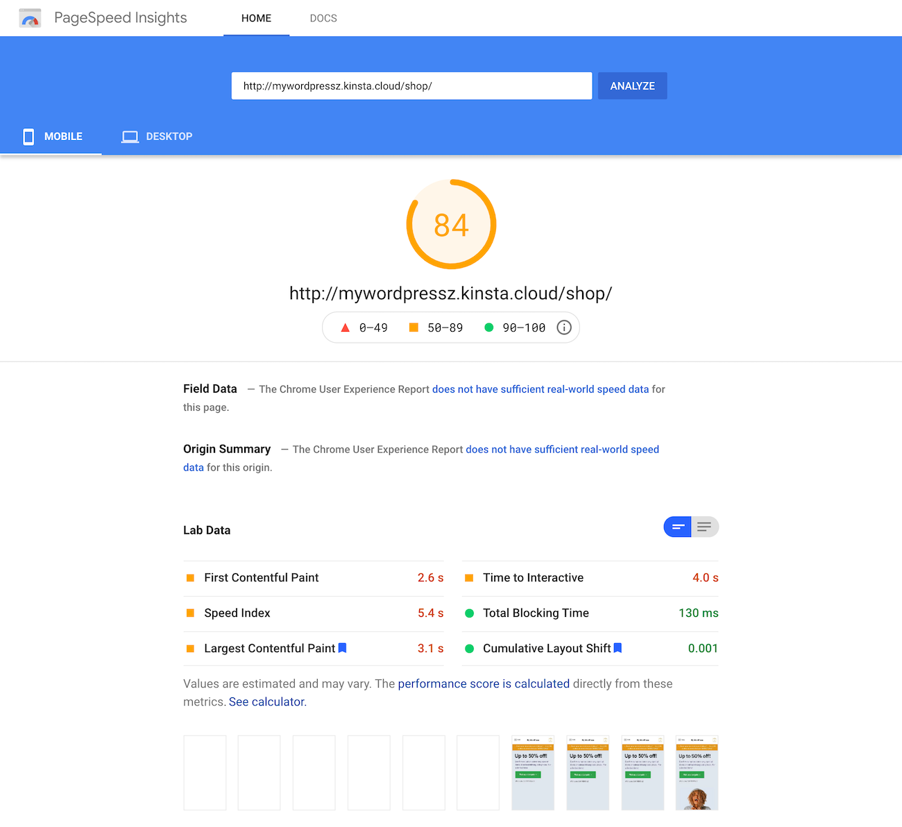 Google PageSpeed Insights test of the shop page