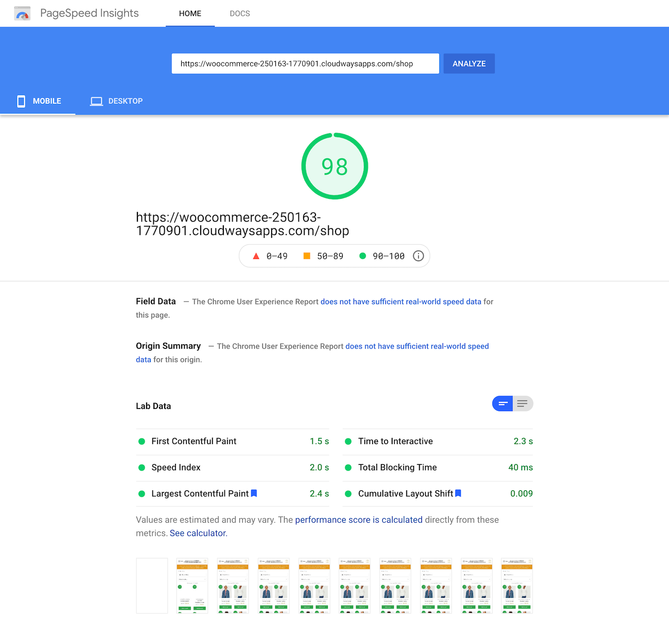 Google PageSpeed Insights test of the shop page