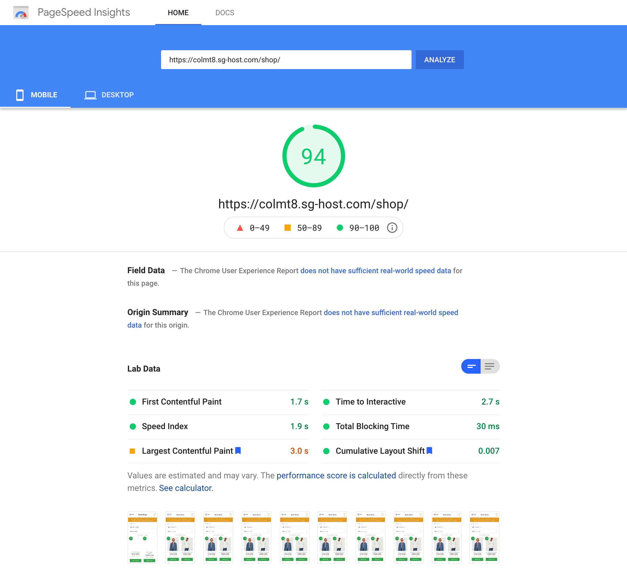 Google PageSpeed Insights test of the shop page