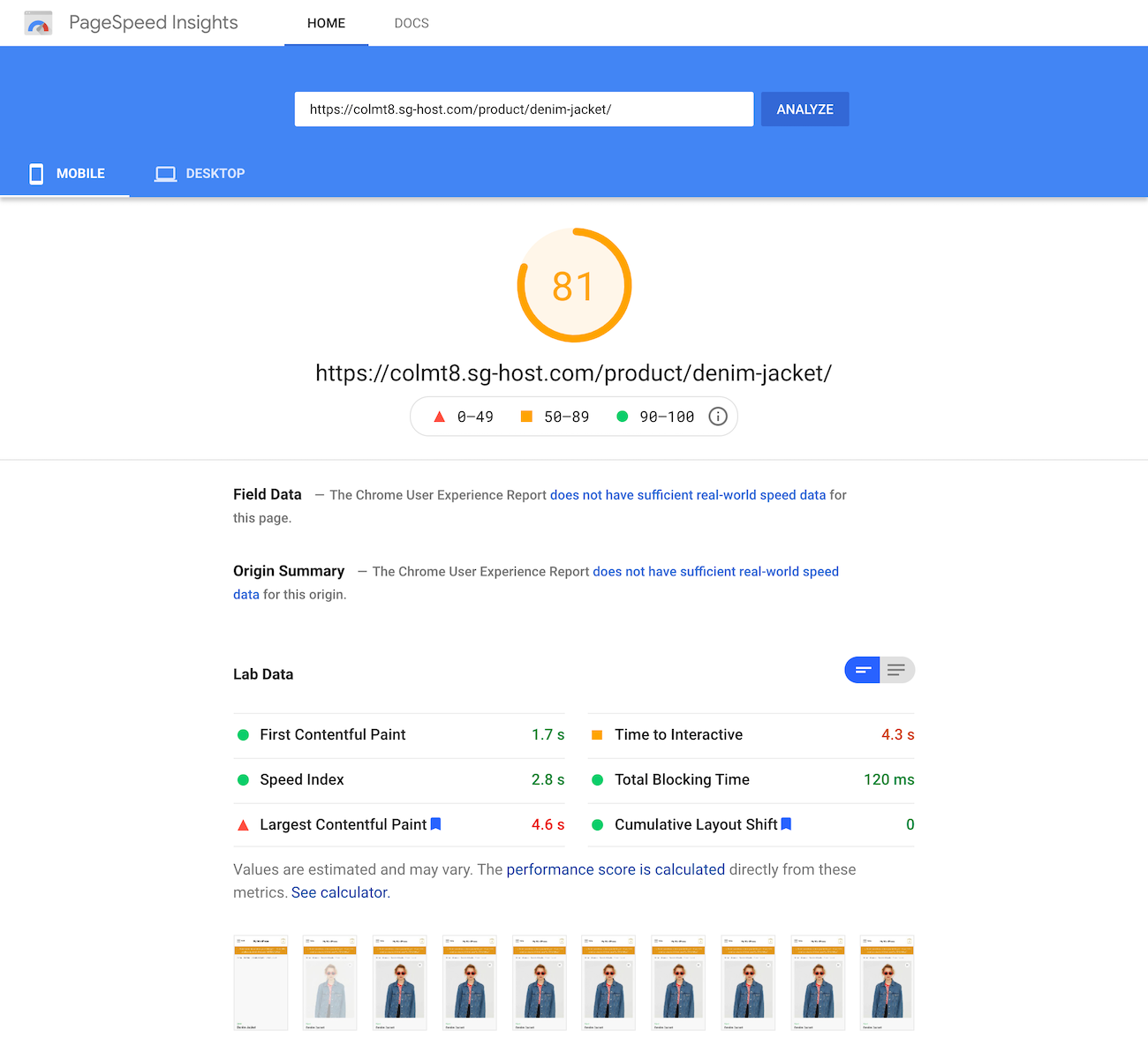 Google PageSpeed Insights test of the single product page