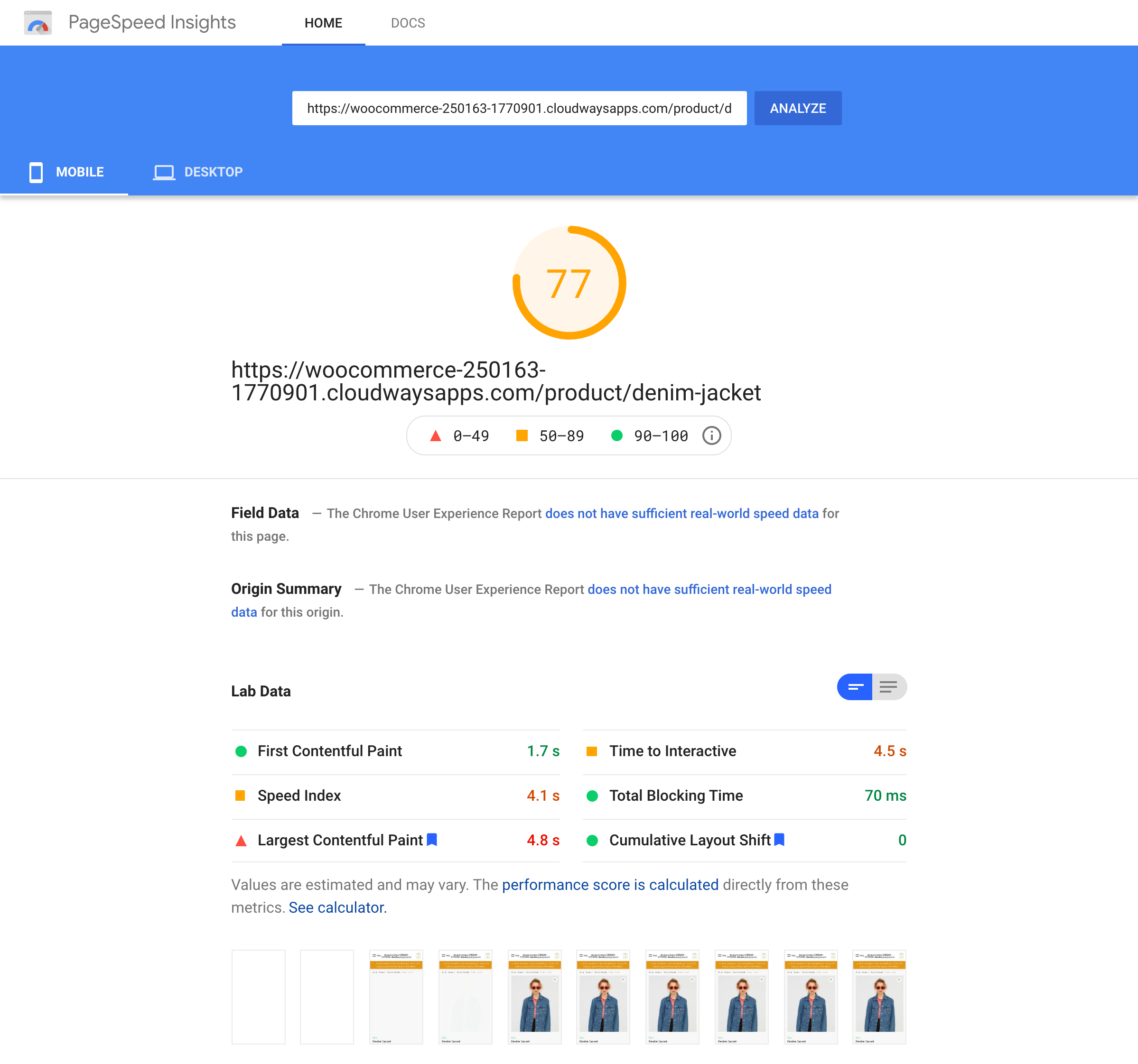 Google PageSpeed Insights test of the single product page