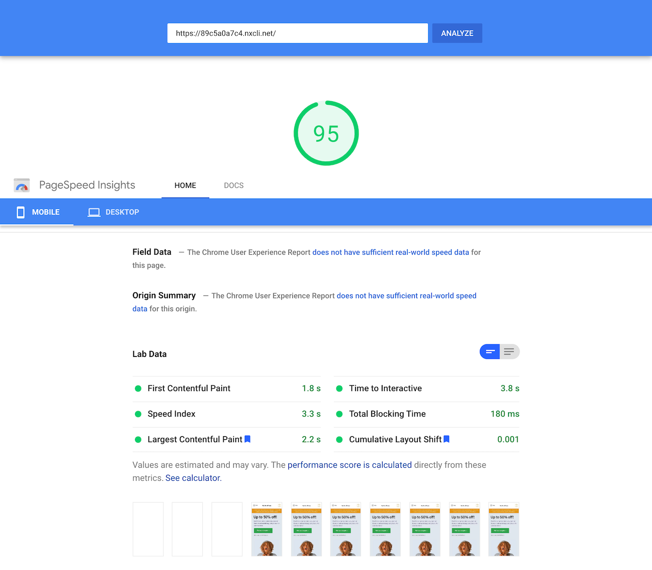 Google PageSpeed Insights test of the homepage