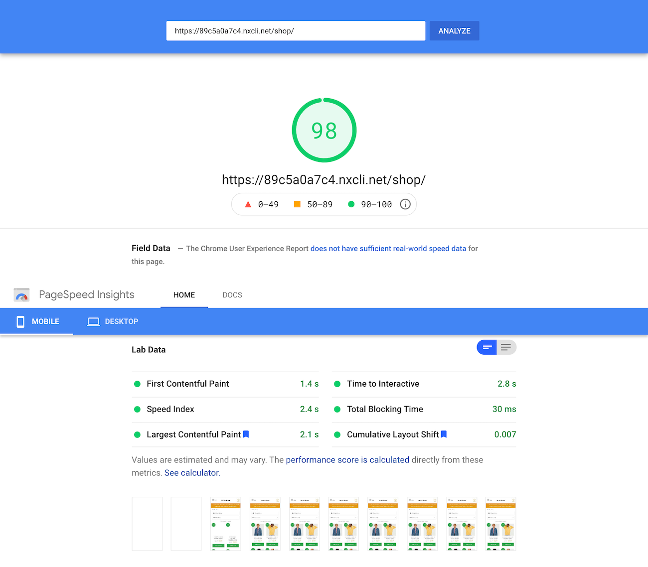 Google PageSpeed Insights test of the shop page