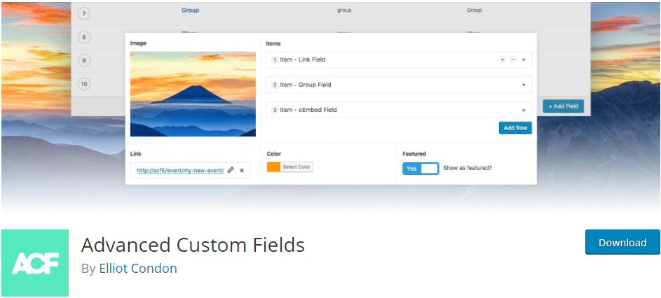 Advanced Custom Fields plugin