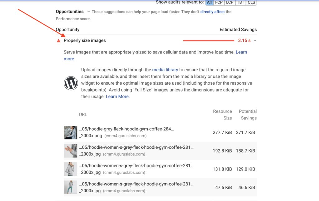 Properly size images - Google PageSpeed Insights Warning