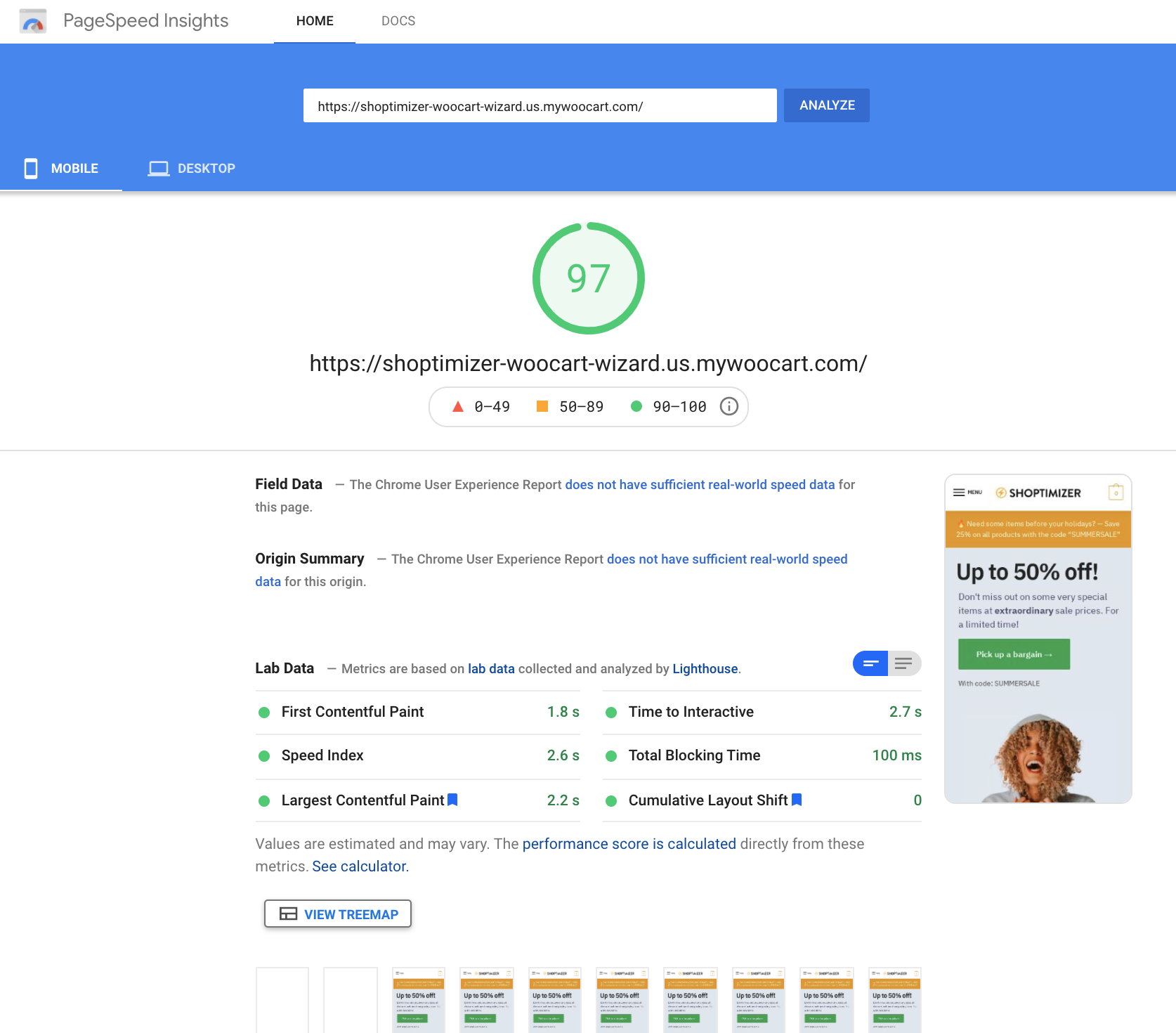 Google PageSpeed Insights Mobile score