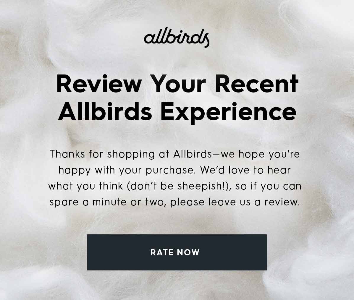Allbirds review request