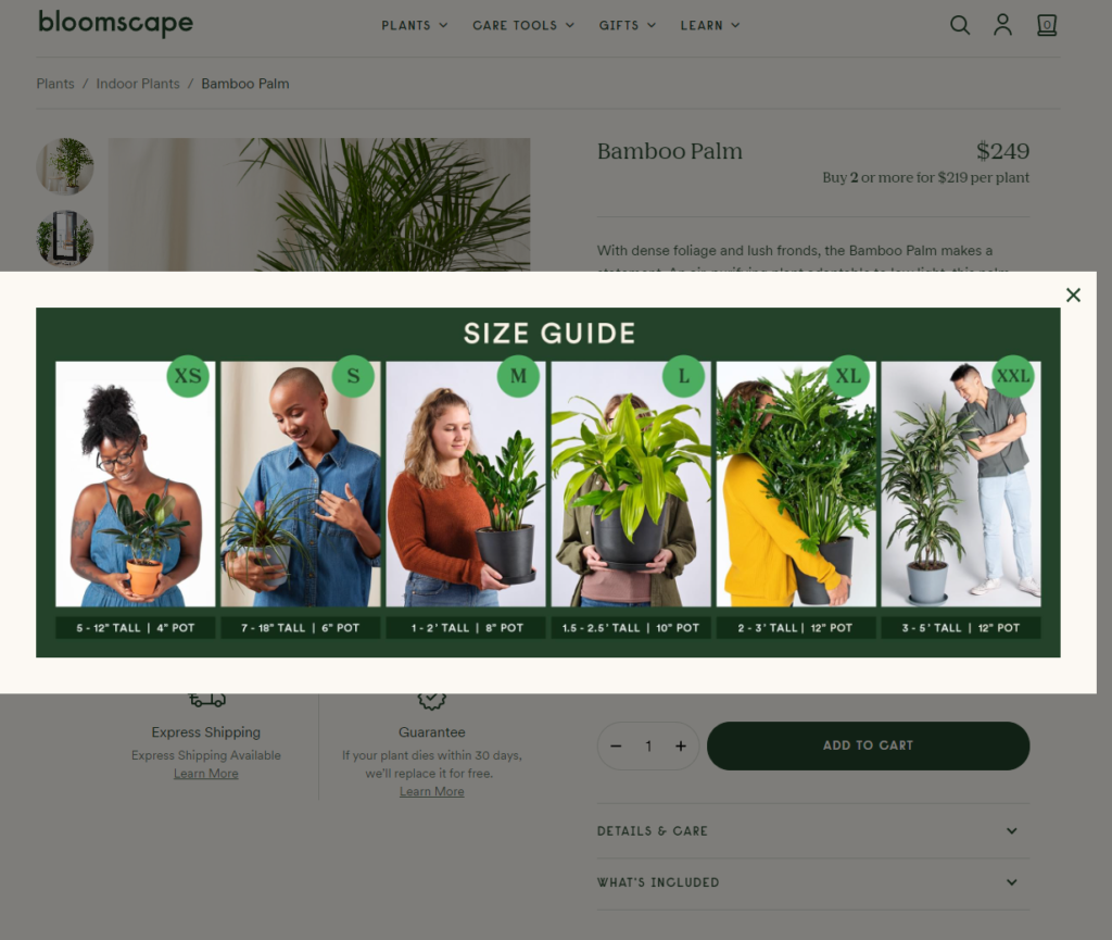 Outstanding Size Guide Examples in eCommerce