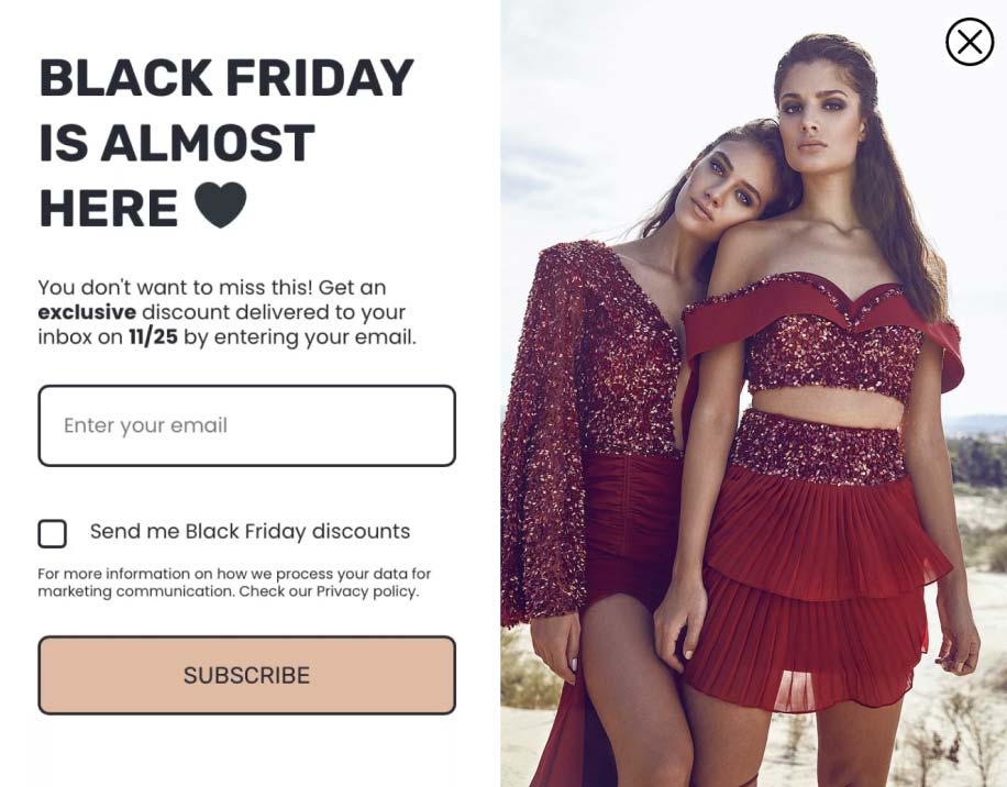Black Friday popup feature