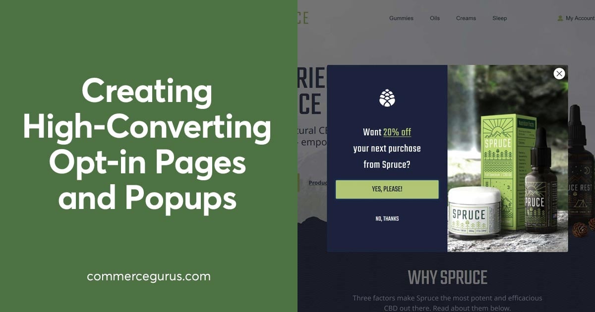 Creating High-Converting Opt-in Pages and Popups